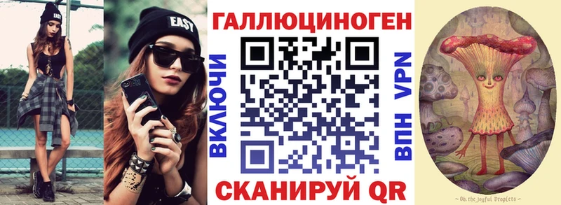 мега как войти  Калуга  Псилоцибиновые грибы Psilocybe 