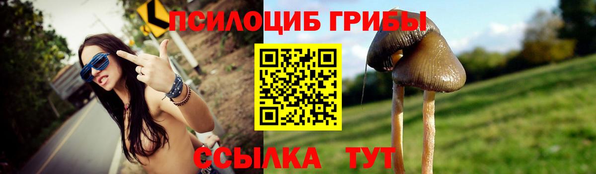 Галлюциногенные грибы ЛСД  Калуга 